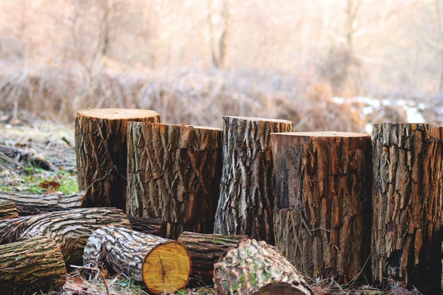 Choosing the right logs for log burners