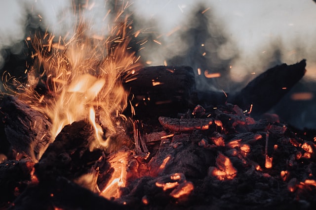 Should your logs crackle in a fire?