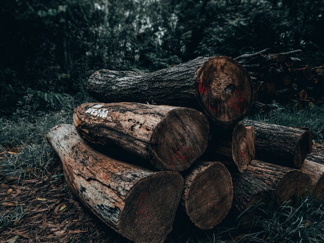 Looking for Logs for Sale Near Me? 3 Things You Should ...